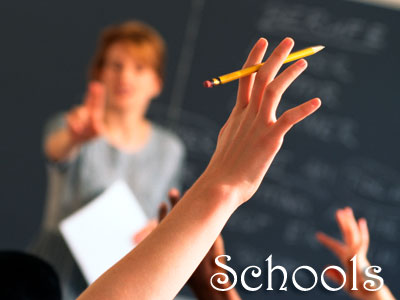 School website development in India